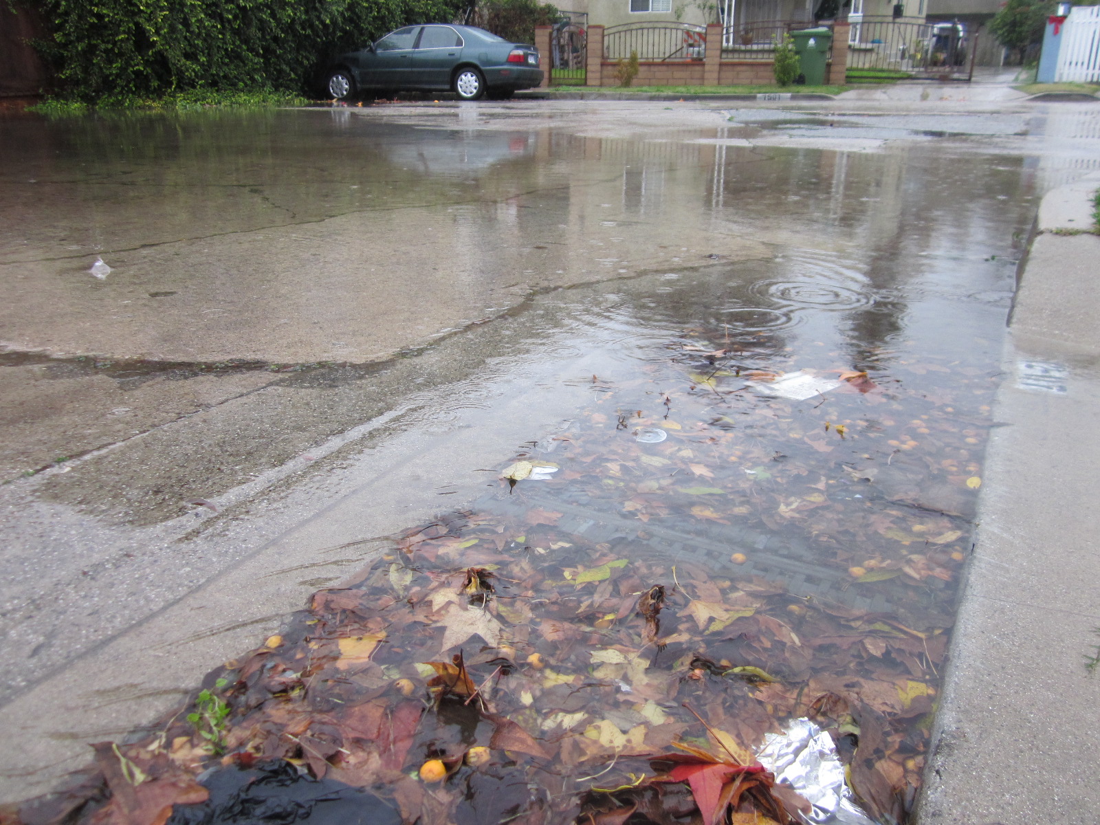 Keeping Storm Drains Clear of Leaves