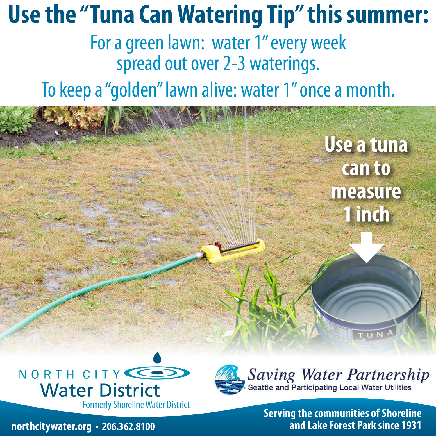 Tuna can watering tip 2