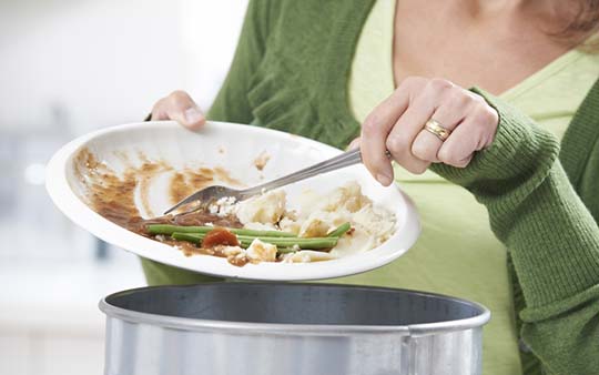 http://www.dreamstime.com/stock-image-woman-scraping-food-leftovers-garbage-bin-image45860681