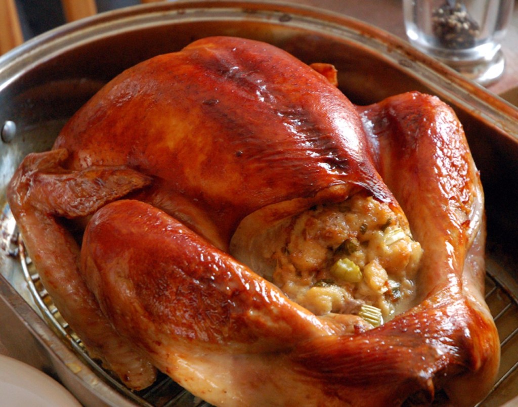 thanksgiving-turkey2