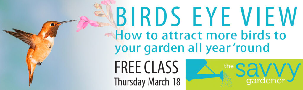 FREE Family-Friendly Online Savvy Gardener Class – Birds Eye View ...