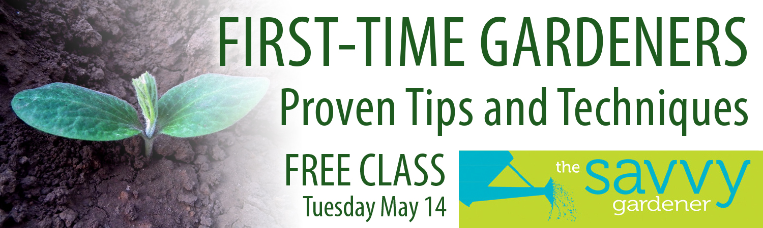 Free Savvy Gardener Class – First-Time Gardeners Proven Tips and ...