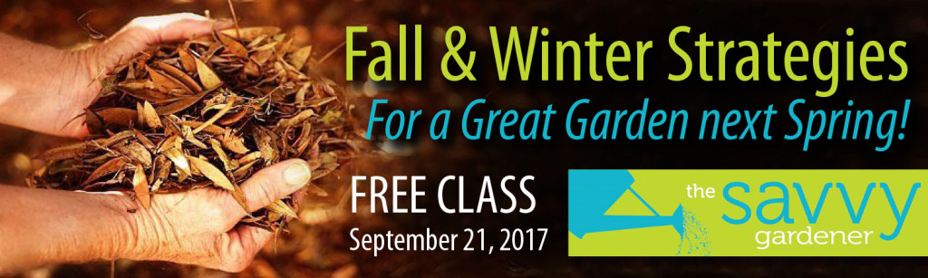 Savvy Gardener Class Featured 9-21-17