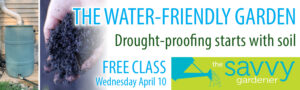 Free Gardening Class on Water Friendly Gardens showing a rain barrel, a hand holding healthy soil, and the Savvy Gardener logo