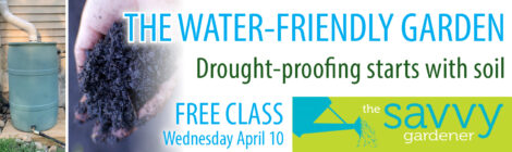 Free Gardening Class on Water Friendly Gardens showing a rain barrel, a hand holding healthy soil, and the Savvy Gardener logo